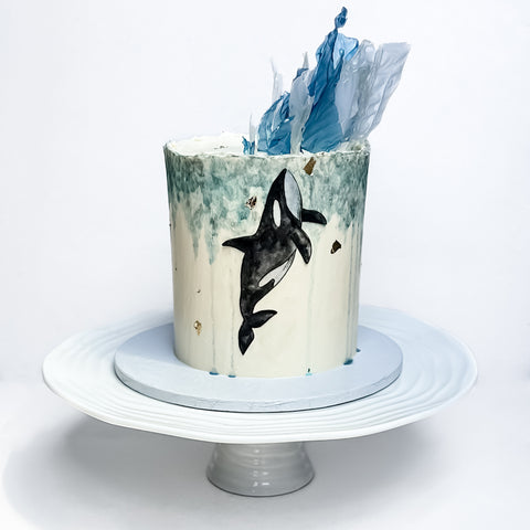 Orca Whale Cake