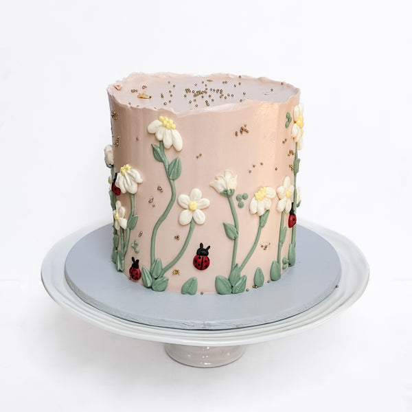 Ladybird Predesigned Cake
