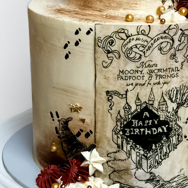 Harry Potter Hedwig Dobby Griffindor Cake