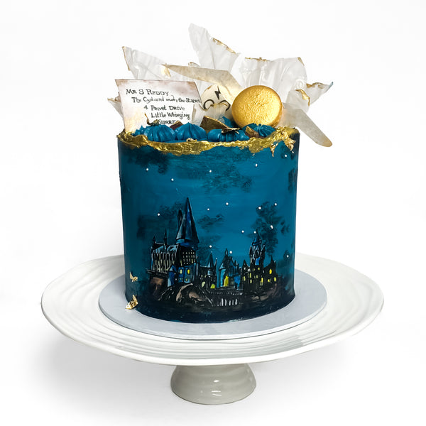Hogwarts Harry Potter Themed Painted Cake